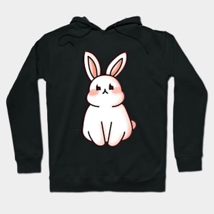 Adorable pink Rabbit Hoodie